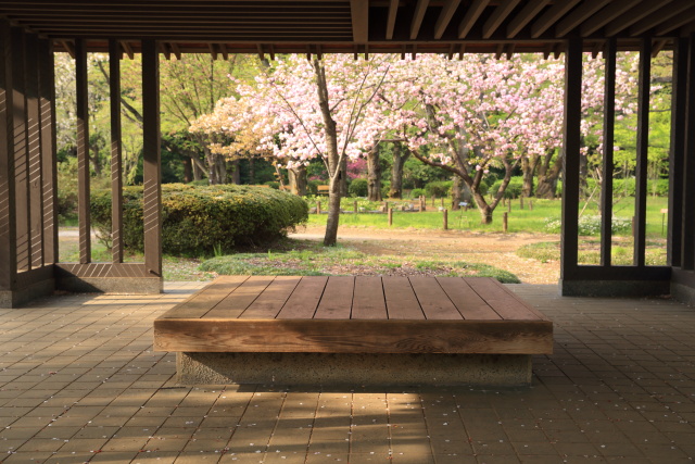 これまでの4月の見頃見所 1404165992 神代植物公園 四阿 八重紅虎の尾 調布市深大寺元町 thumbnail